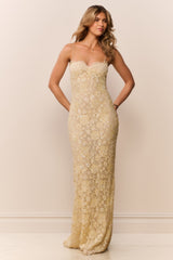 Ciona Sequin Lace Gown