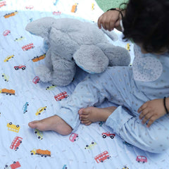 Baby Car Print Mat