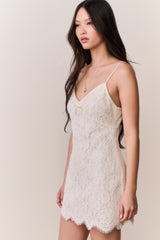 Petaline Lace Mini Dress
