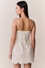Petaline Lace Mini Dress