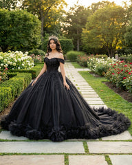 Ball Gown Tulle Off the Shoulder Quinceanera Prom Dress