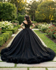 Ball Gown Tulle Off the Shoulder Quinceanera Prom Dress