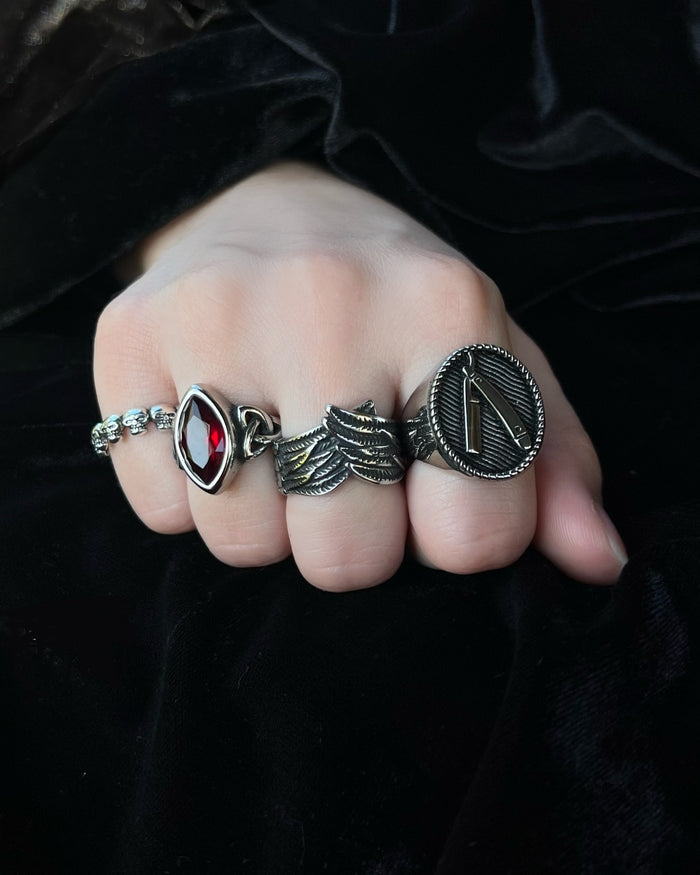 Ring ~ Swing It To The Skies by Andy Biersack - LIMITED EDITION